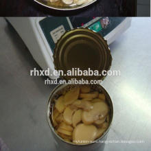 2017 Best flavor Champignon canned from China